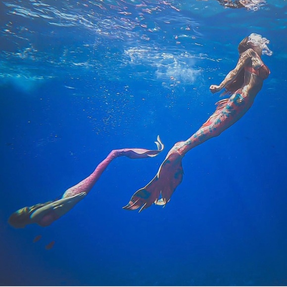 Meet your Posher, Miristi - Picture 1 of 1